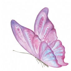 彩绘水彩蝴蝶绘画图案