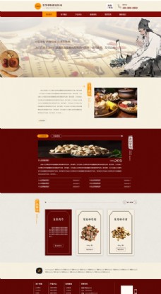 中医网站首页模板