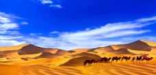 图片素材蓝天白云沙漠骆驼异域风情