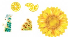 创意广告向日葵柠檬