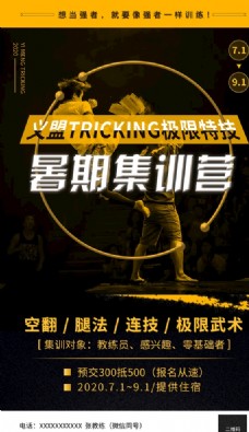 跆拳道特技暑期集训营海报