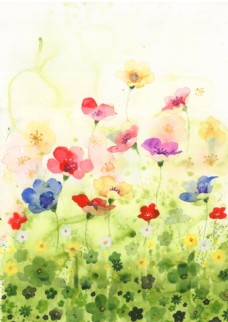 花卉艺术原创水彩手绘艺术花卉素材