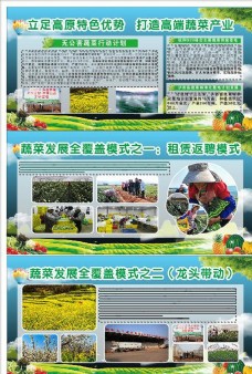 绿色蔬菜农业蔬菜园展板