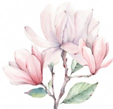 绿树手绘卡通粉色玉兰花