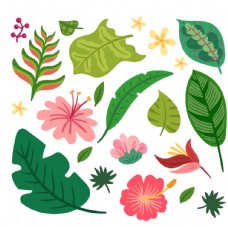热带花卉和叶子免费矢量