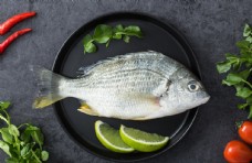 psd素材鱼水产盘子食材餐饮背景素材