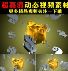 金猪元宝金融银行股市基金视频