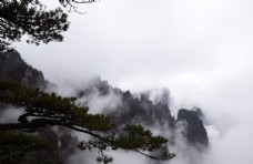 大自然云雾黄山