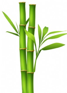 绿树卡通竹子