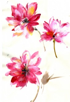花卉艺术原创水彩手绘艺术花卉
