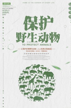 保护野生动物