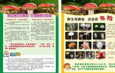 类预防野生蘑菇中毒宣传单