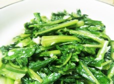 绿色蔬菜蒜蓉油麦菜