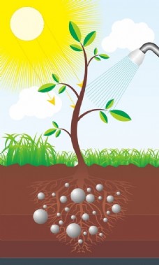 景观设计阳光植物插画矢量