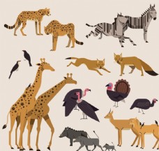 非洲动物非洲野生动物
