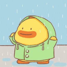 雨衣鸭