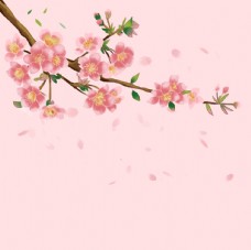 传统节气手绘古风桃花