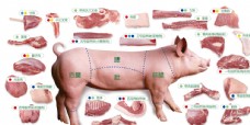农家土猪猪肉