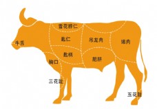 牛肉剖析图