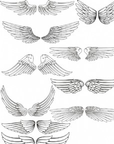 字母设计翅膀