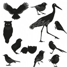 鸟类动物剪影