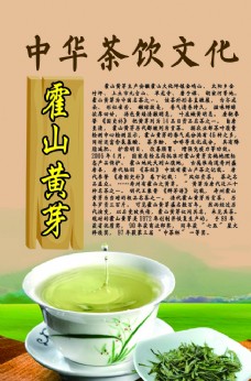 中华文化中华茶饮文化之霍山黄芽