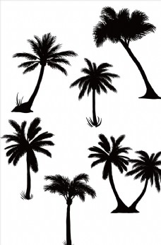 树林椰子树剪影