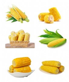 png抠图玉米