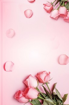 浪漫唯美粉色玫瑰花背景