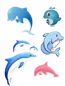tag儿童插画海豚