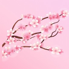 粉色桃花