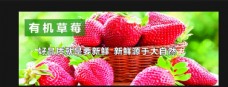 精美水果灯箱草莓