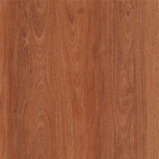 木材木地板