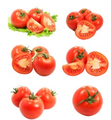 食材原料西红柿