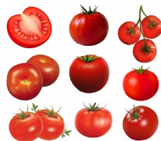 蔬菜饮食番茄