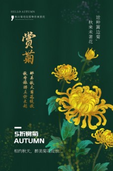 赏菊花朵传统国风海报素材
