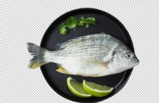 食材海鲜鱼海鲜食材海报背景素材