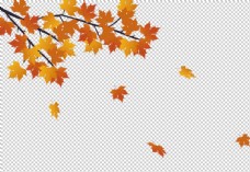秋天背景枫叶秋天装饰背景海报素材