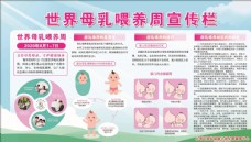 世界母乳喂养周宣传栏