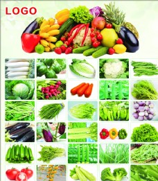 食品海报有机蔬菜海报