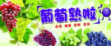 葡萄水果超市健康卫生