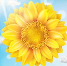 花卉装饰画向日葵