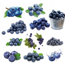进口水果蓝莓