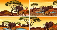 非洲动物