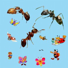 蚂蚁 卡通动物