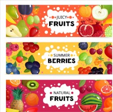 有机水果水果