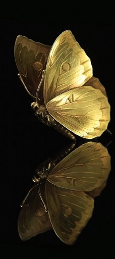 金属纹理黄金金属质感纹理金蝴蝶