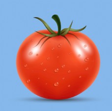 蔬菜饮食矢量西红柿番茄蔬菜高清果蔬素材