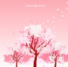 樱桃园樱花树