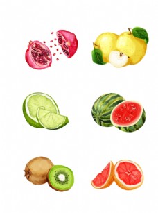 有机水果水果水果海报水果素材蔬菜